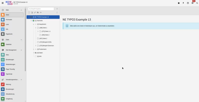 TYPO3 v13 Backend