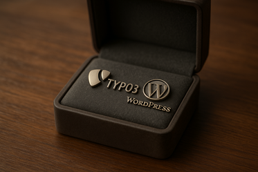 Wir übernehmen TYPO3- und WordPress-Seiten. Sicher, DSGVO-konform und effizient modernisiert, auch wenn die alte Agentur nicht mehr liefert.